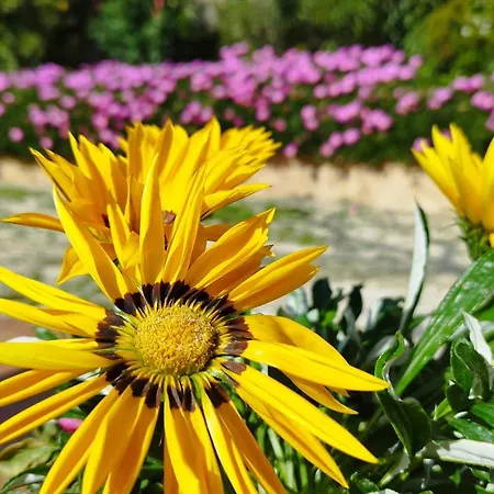 Encarni Сasa de vacaciones