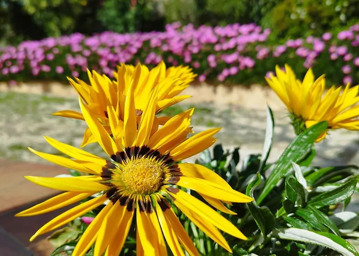 Encarni Сasa de vacaciones